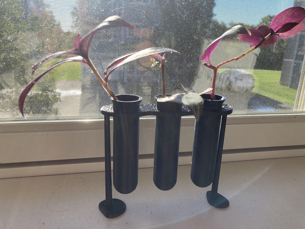 Test Tube propagation vase