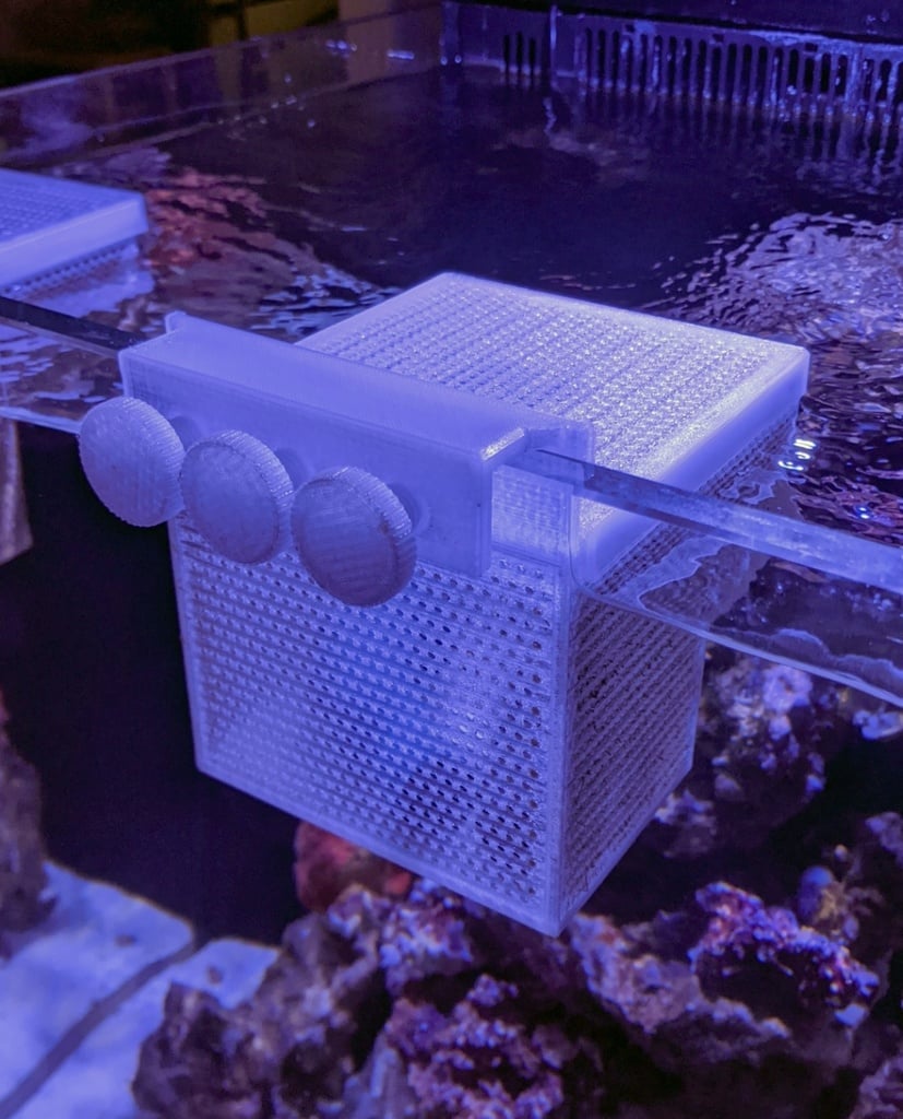 Hang on Aquarium Isolation Basket - One Wall Mounting