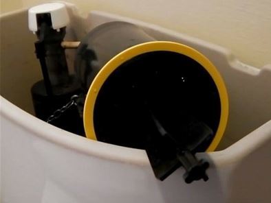 Toilet Canister Seal