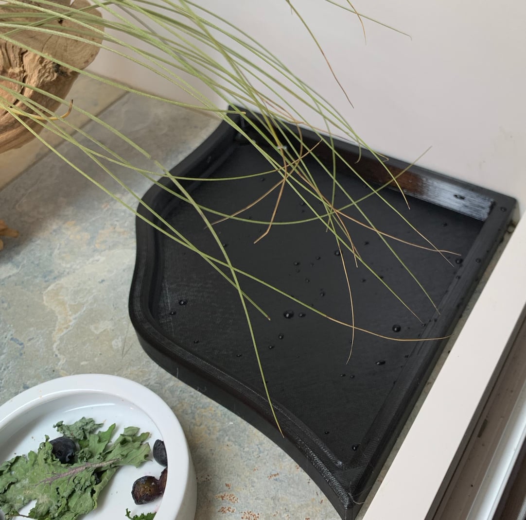 Reptile Water Bowl / Bath