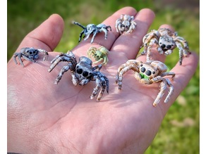 Jumping Spider 3D model