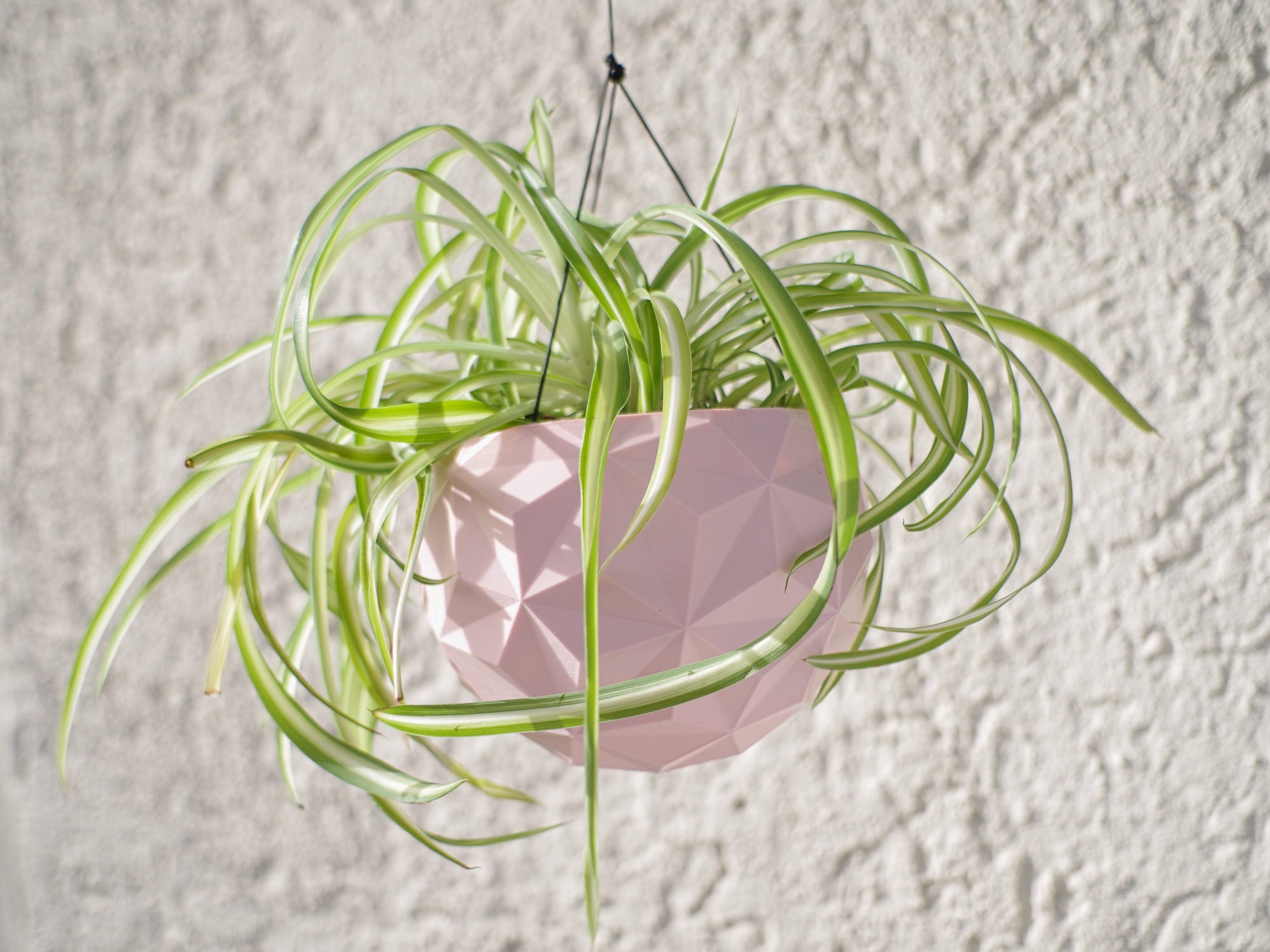Geodesic Hanging Planter Pot