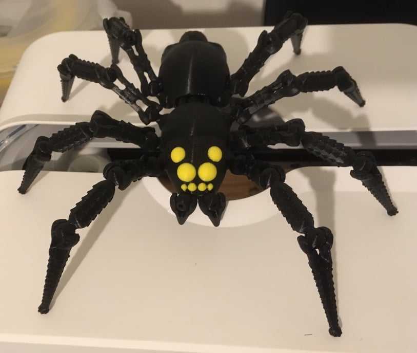 Wolf Spider V2