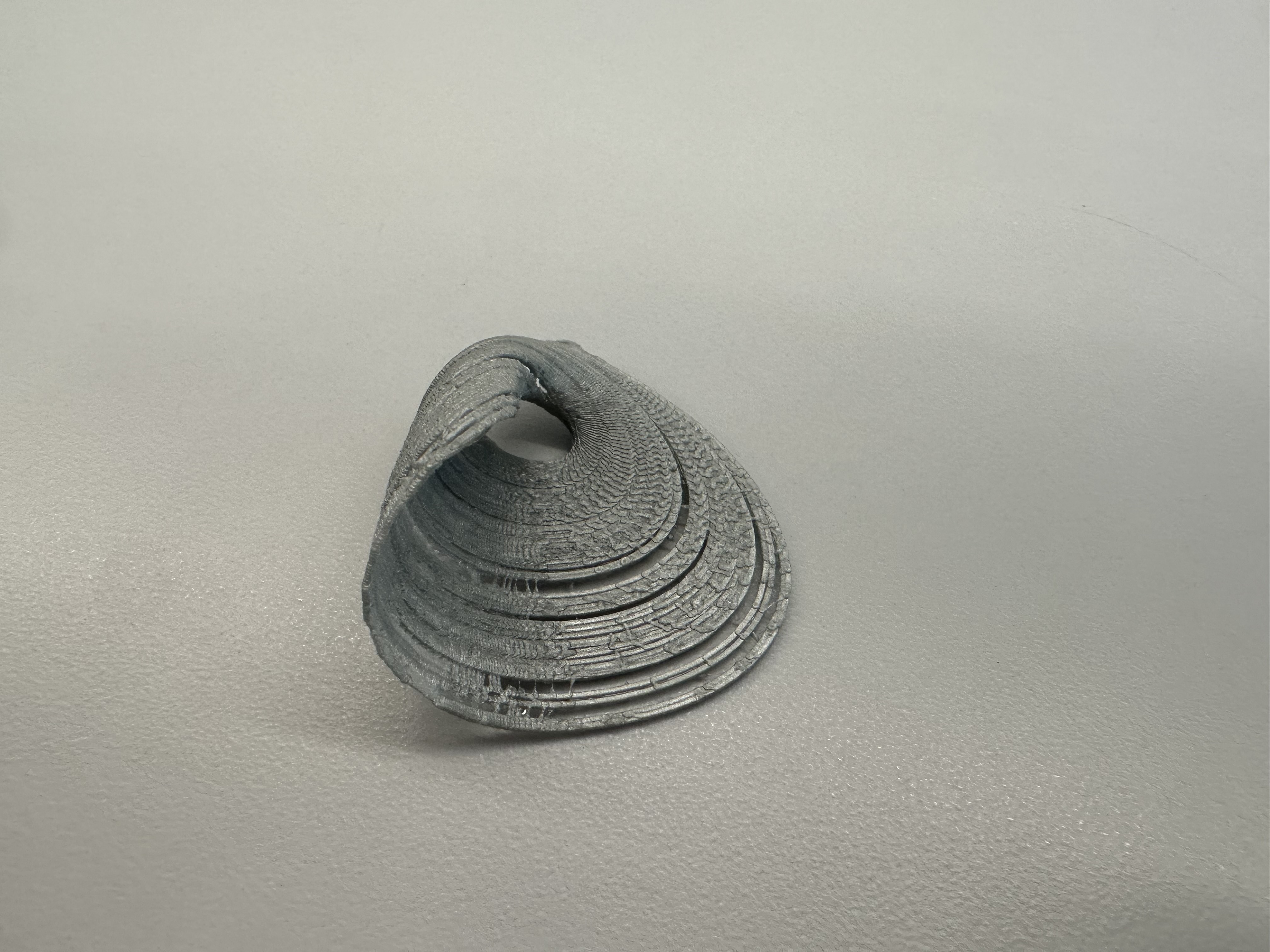 Anishchenko Chaotic Attractor
