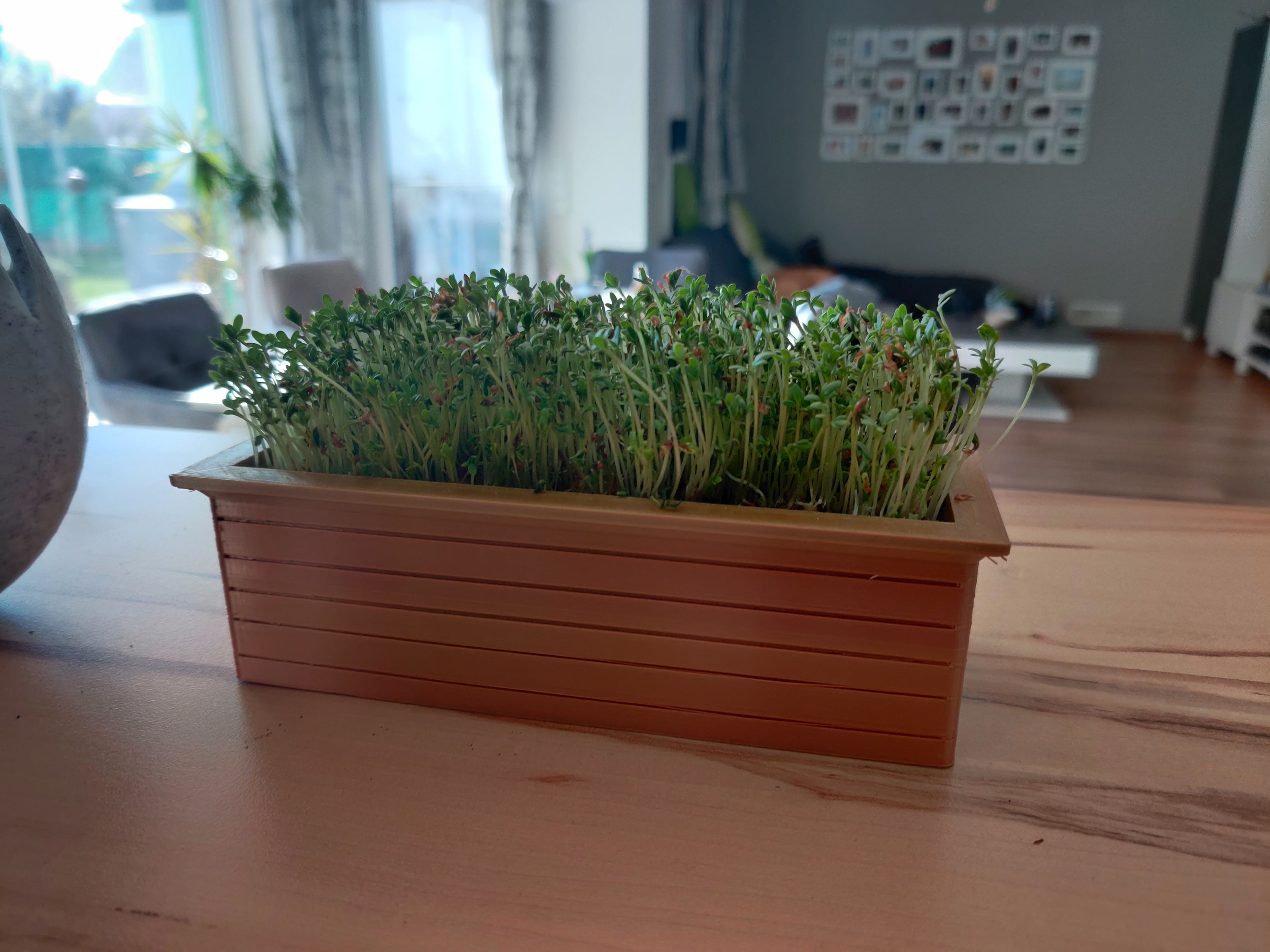 Raised bed for cress breed