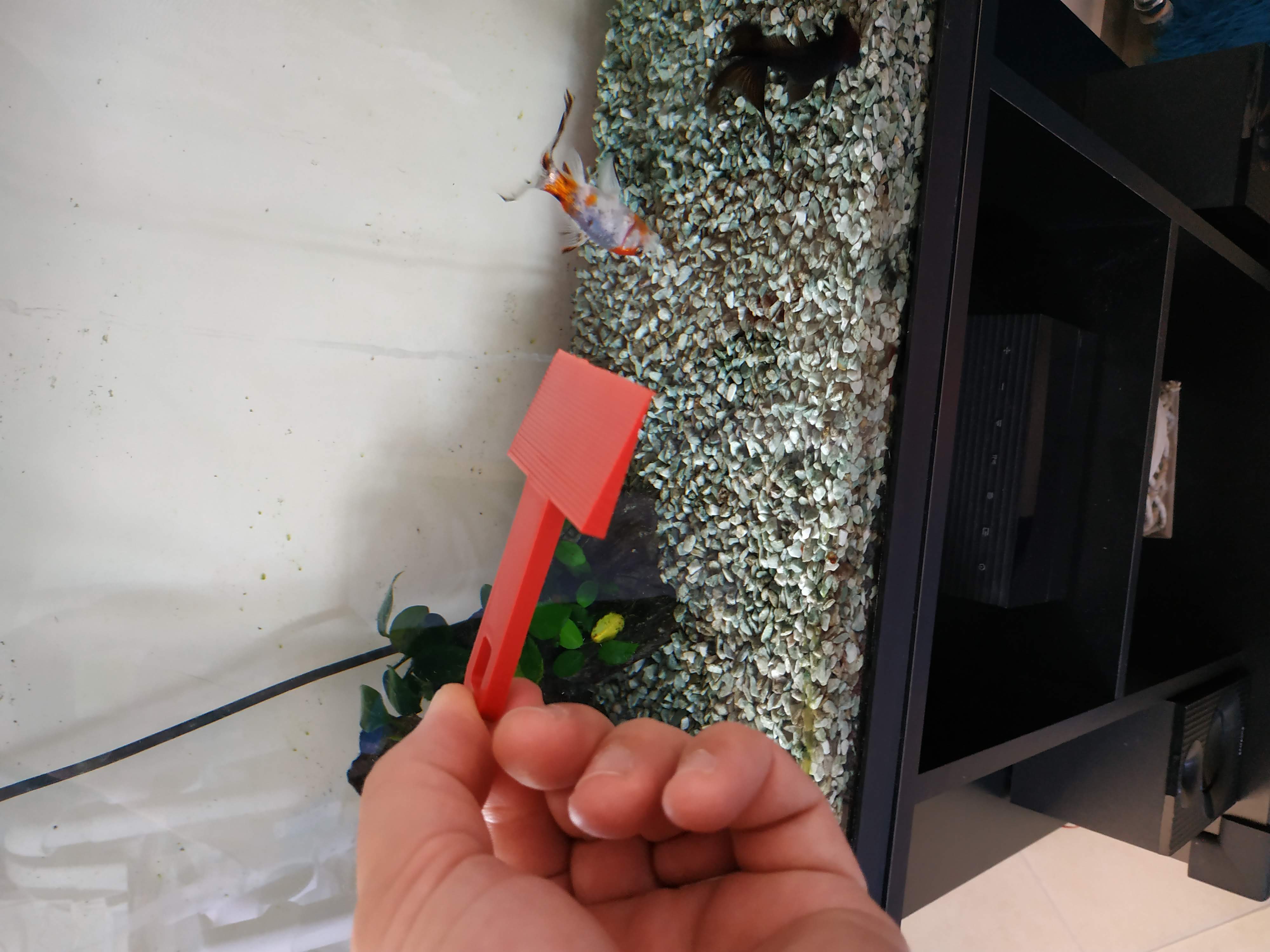 Aquarium Algae Scraper