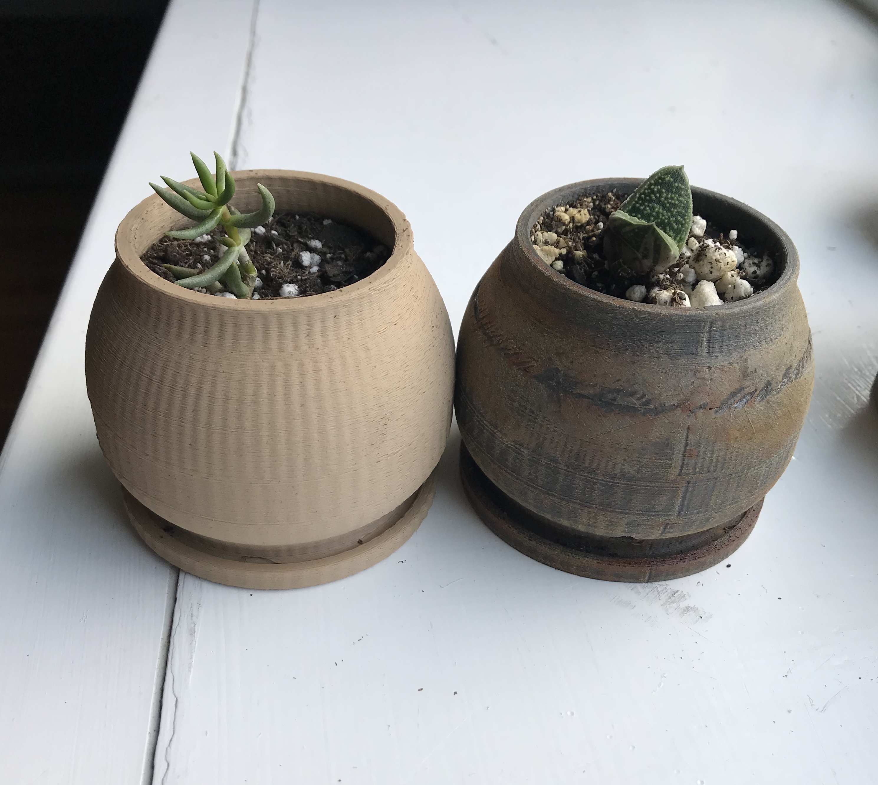 Succulent Planter 2