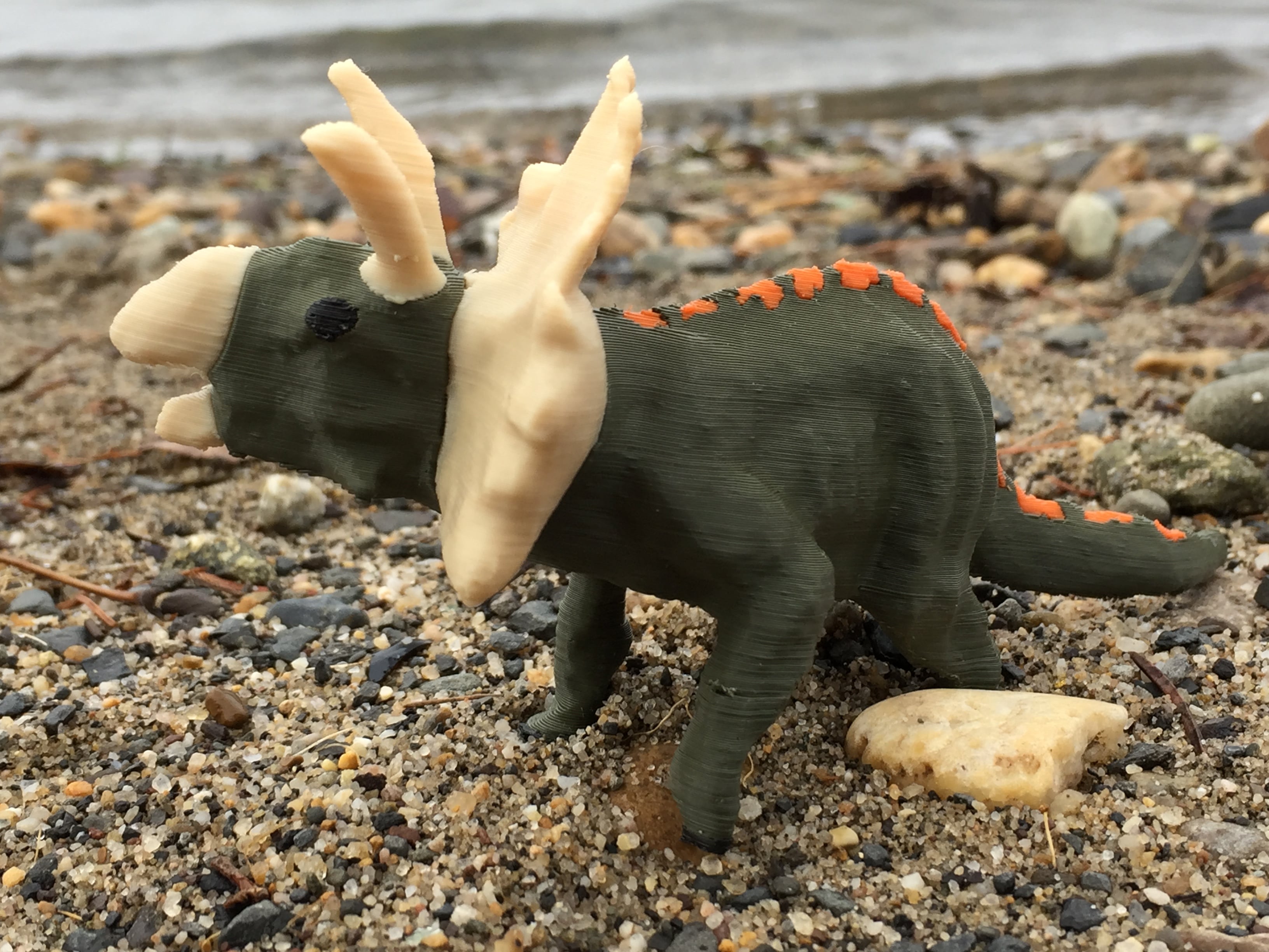 Triceratops