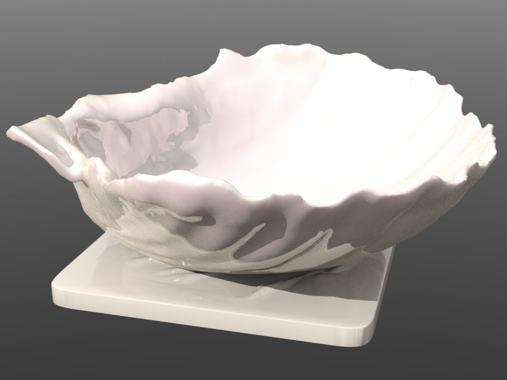 Large Shell Tray