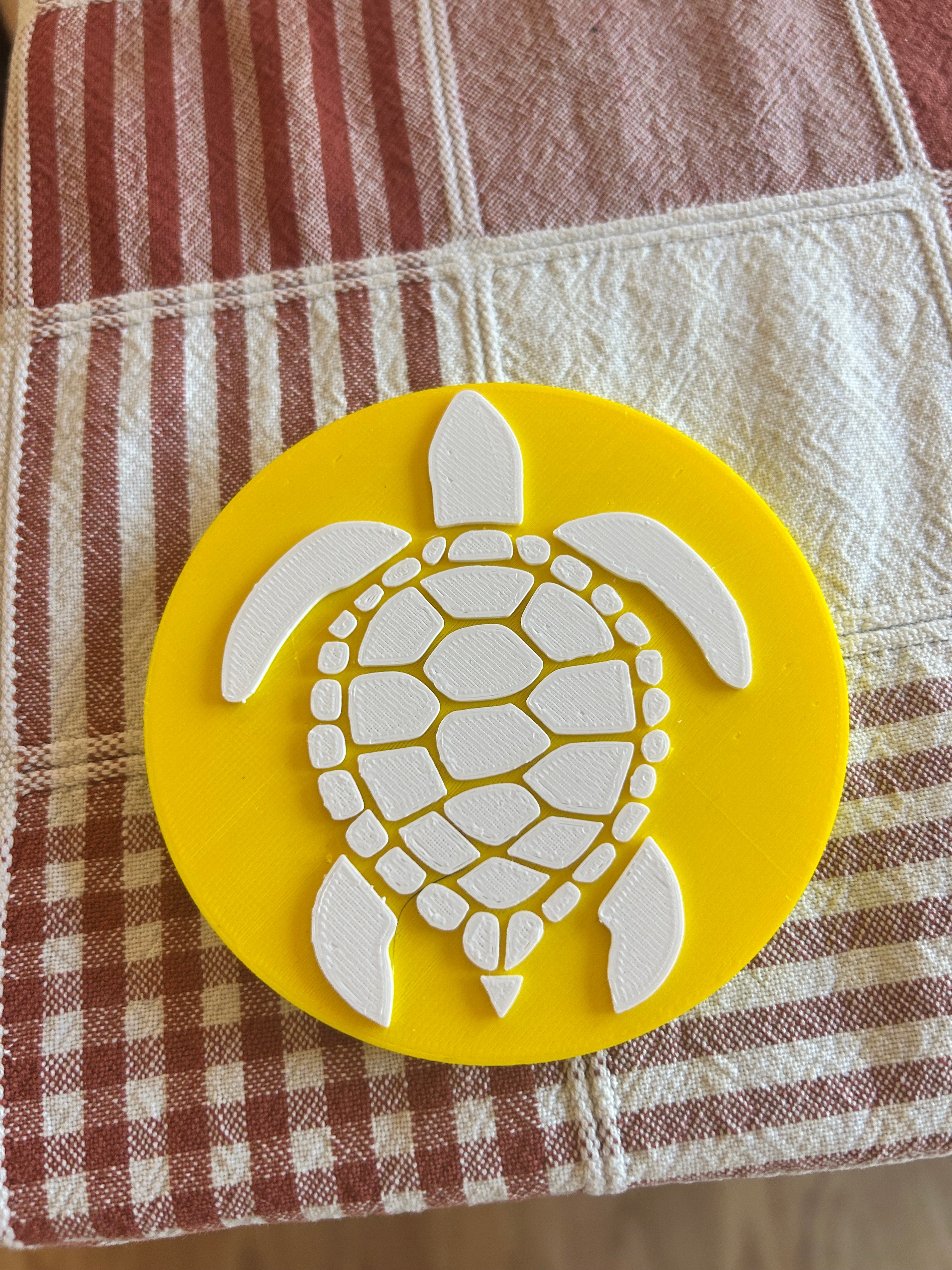 Turtle Coaster