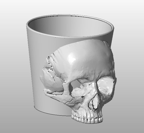 Skull flower pot
