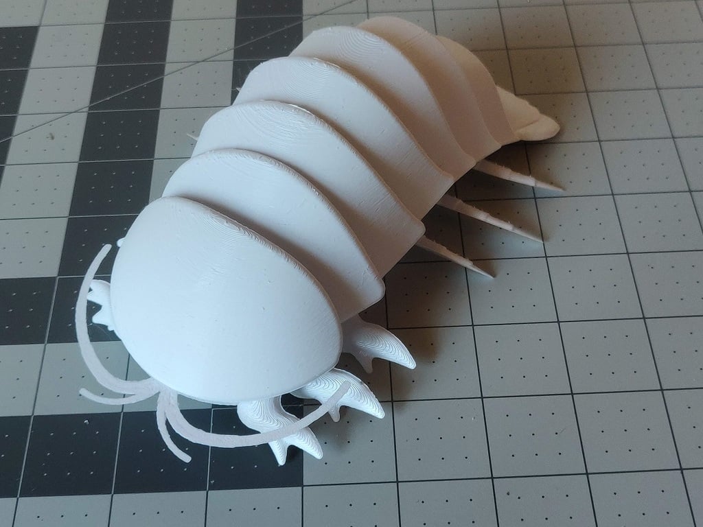 Articulated Giant Isopod