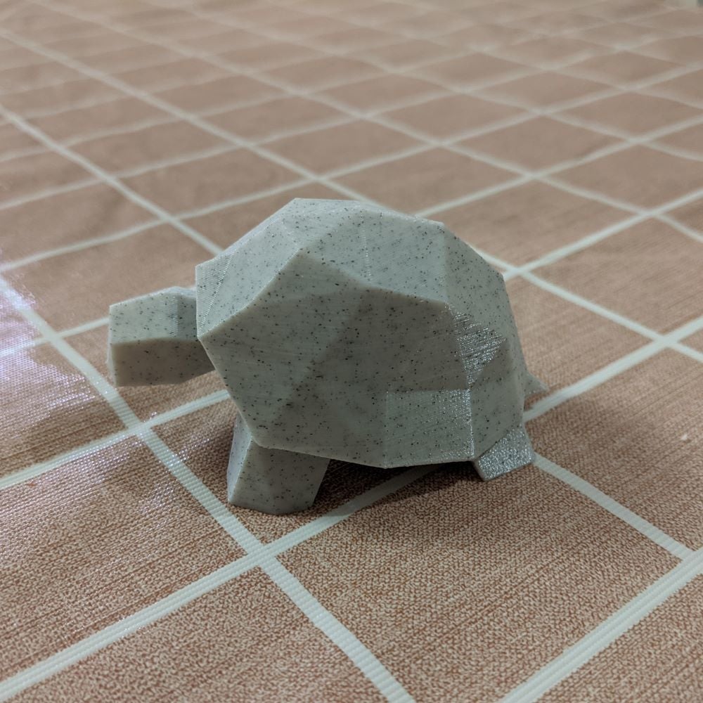 Low Polygon Tortoise