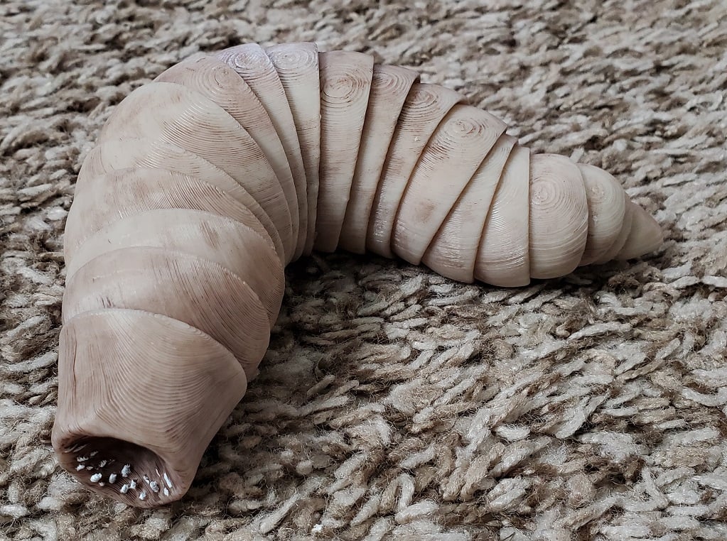 Friendly Articulated Sandworm