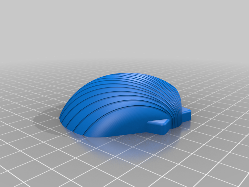 Sea Shell