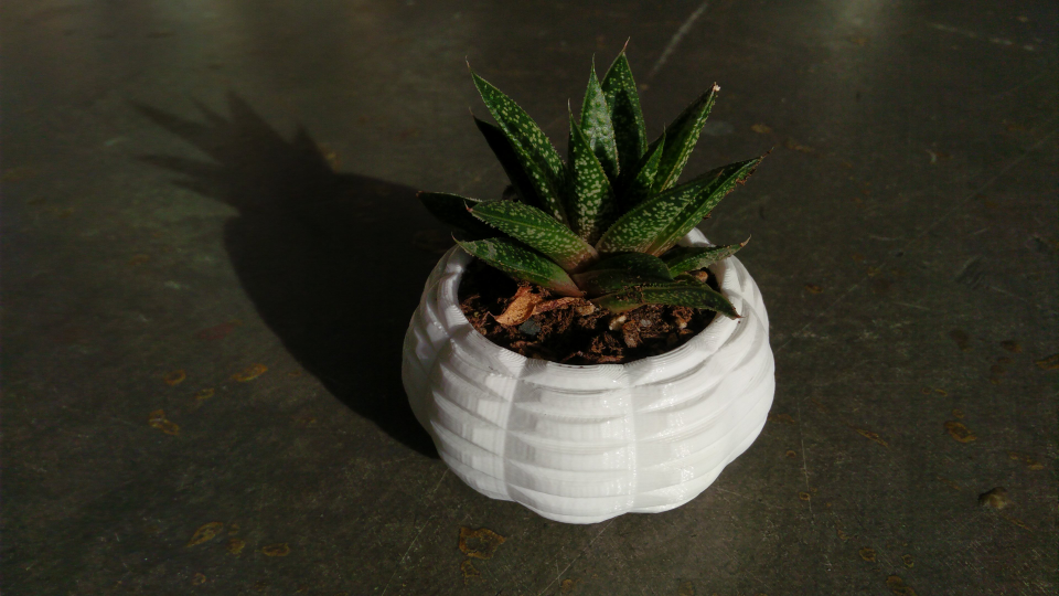 Mini Planter 2