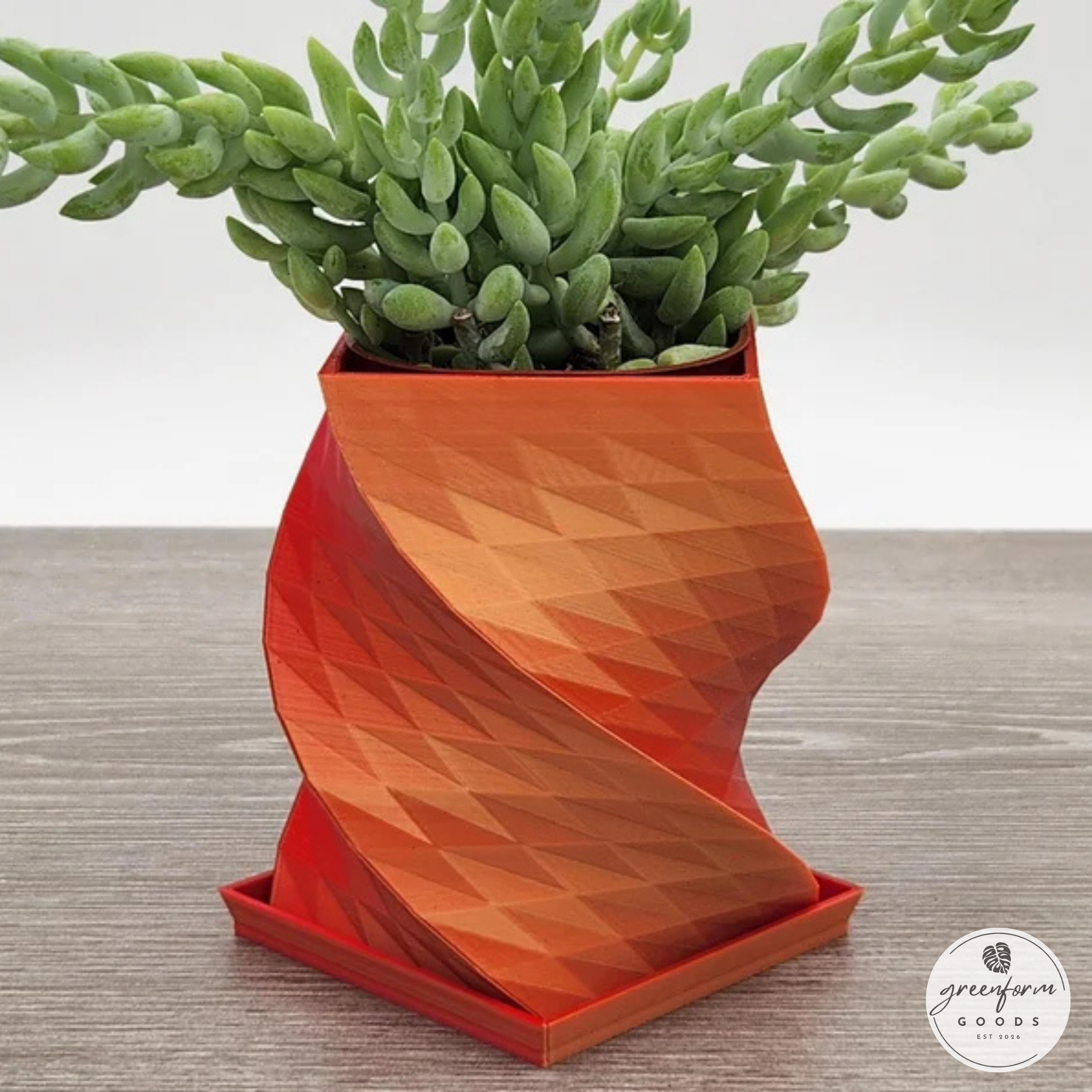 Twisted Geometric Helix Planter