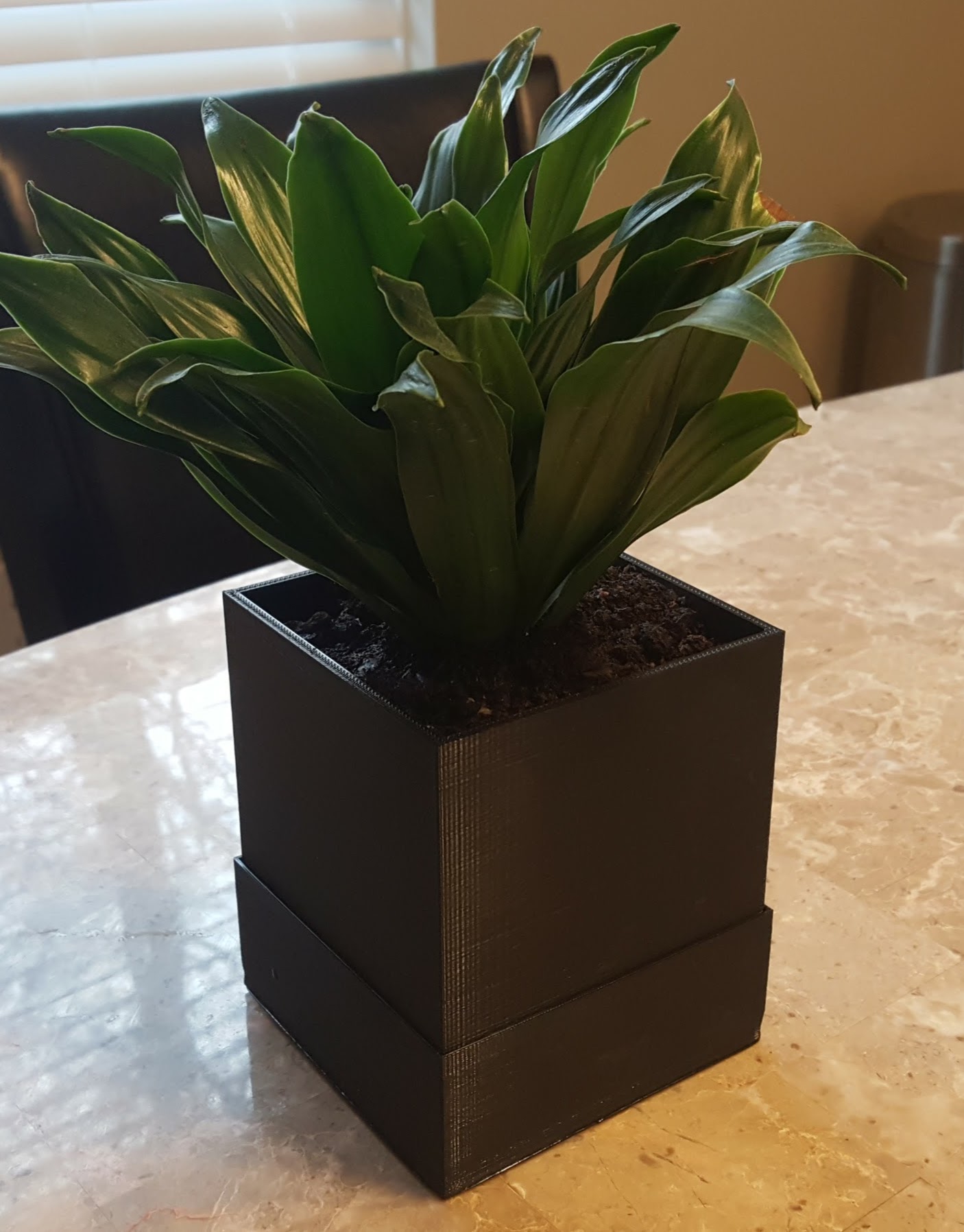 Self Watering Square Planter