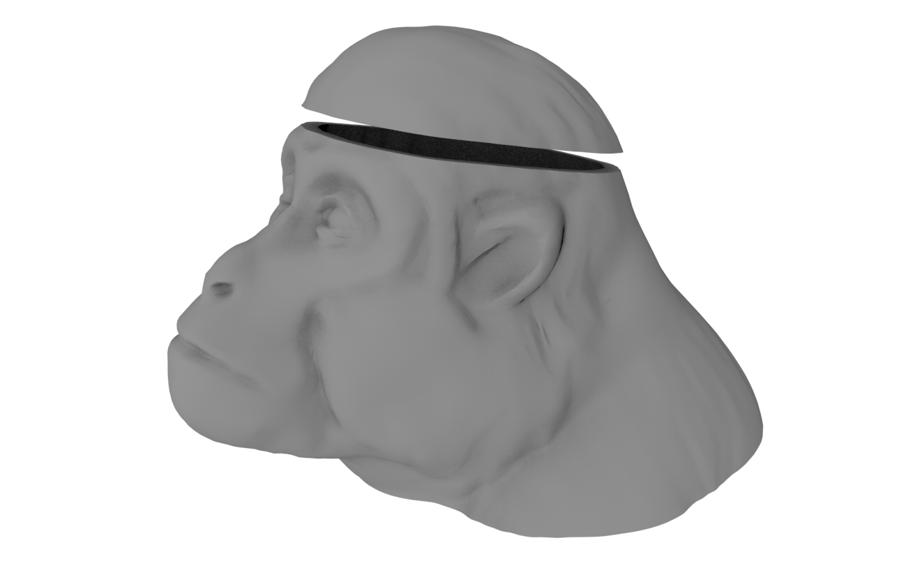 Monkeybrain on Ice