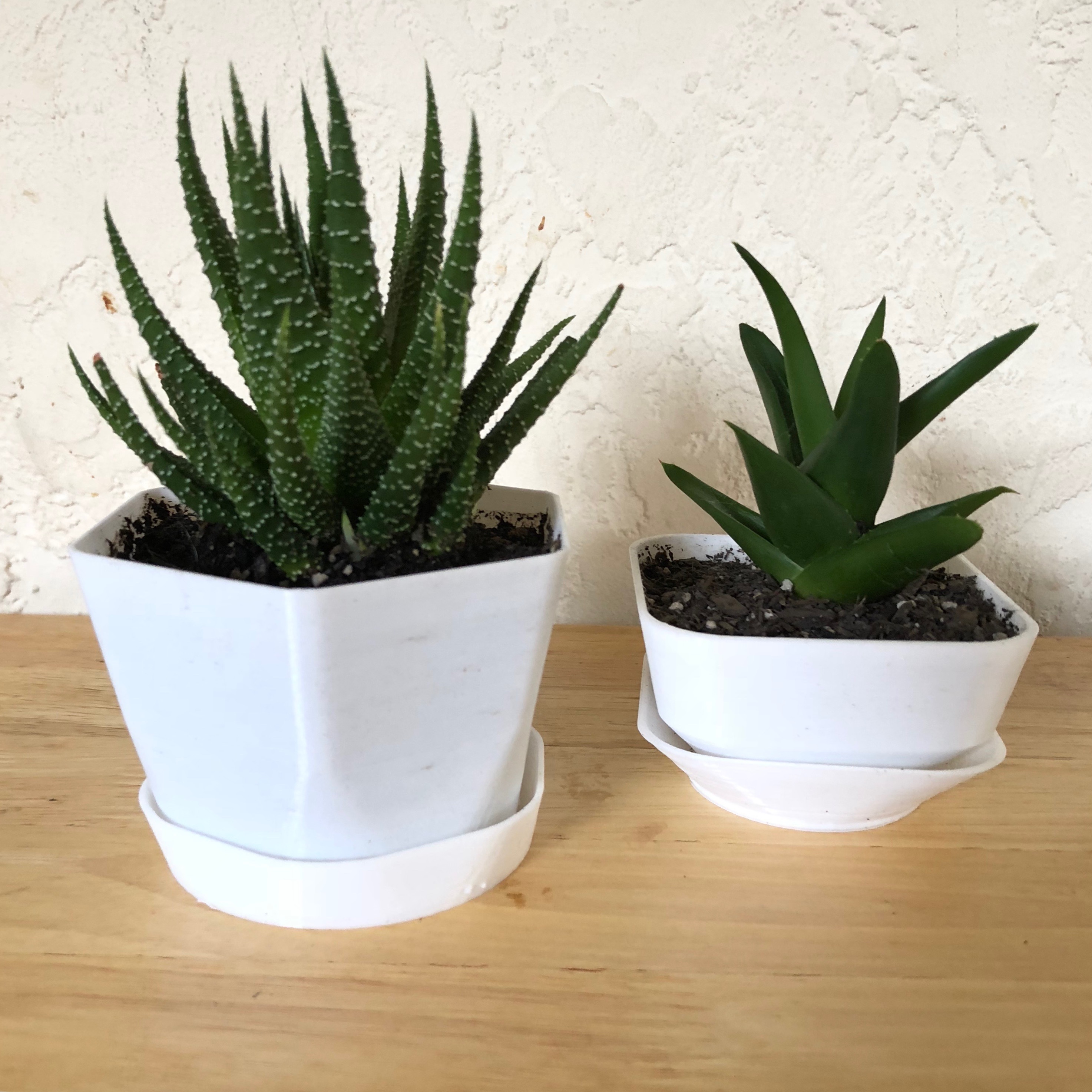 Customizable Polygonal Planter