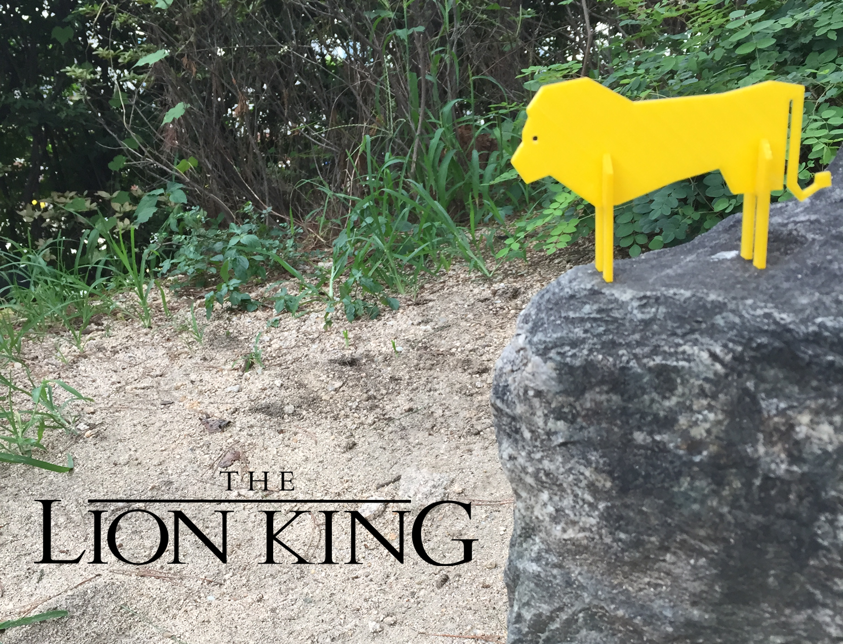 Simple Animals 12 - Lion King