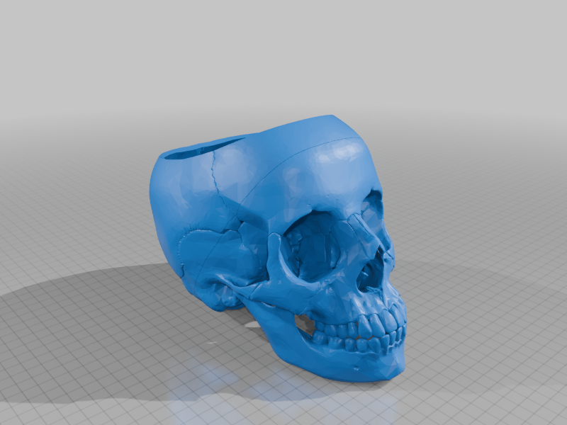 Human skull candy dish