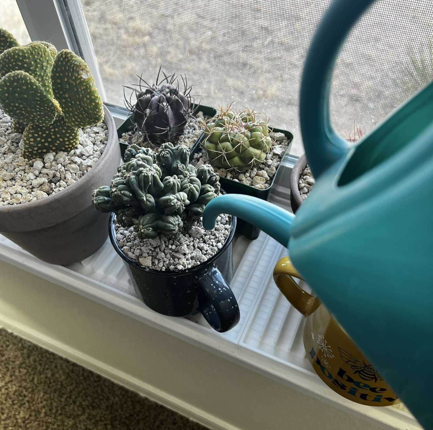 EZ-Water Plant Drip Tray