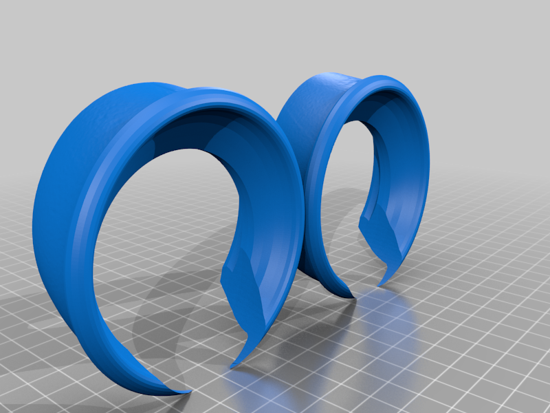 Oculus Quest Echo Protection