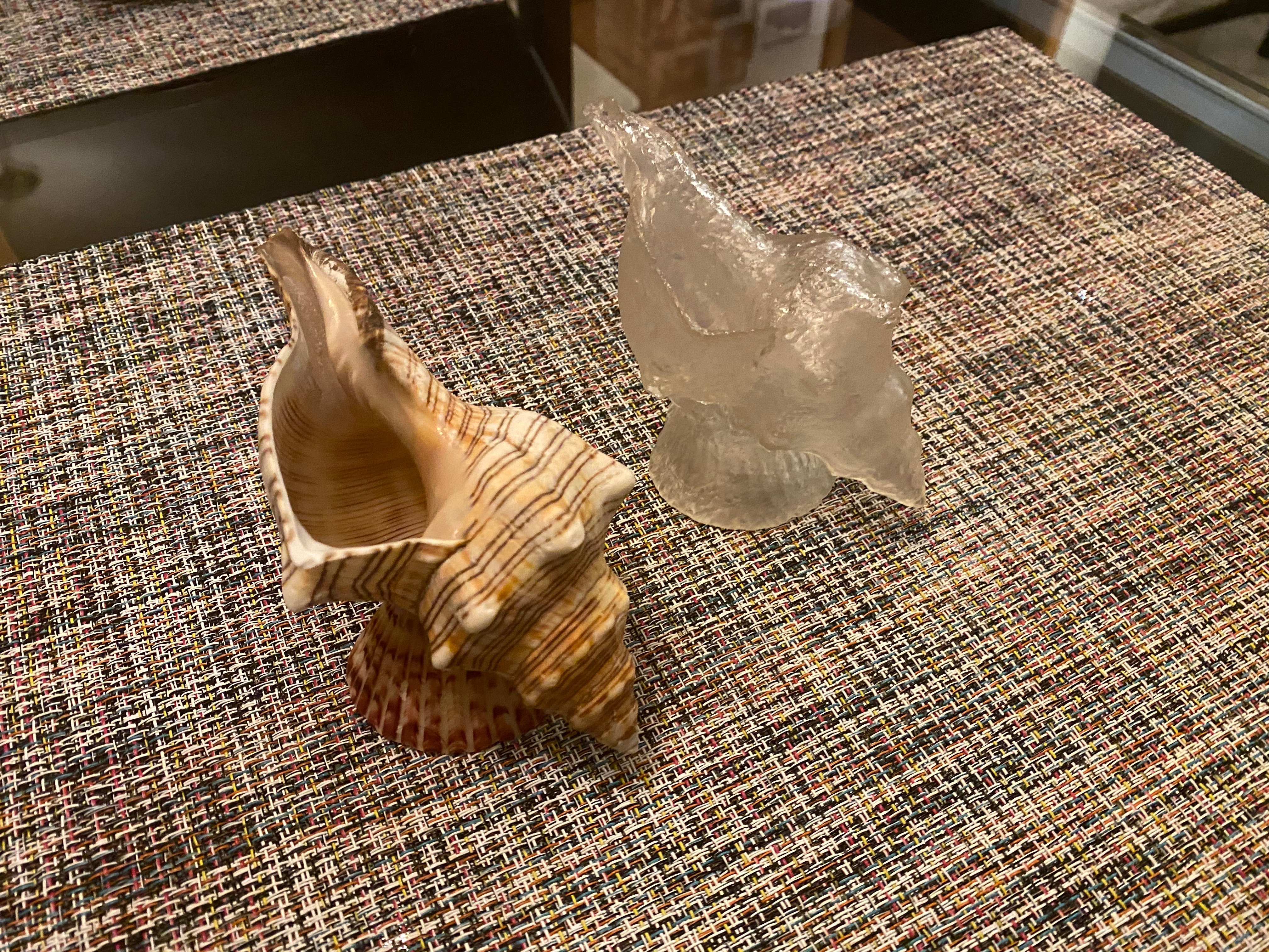 Shell planter