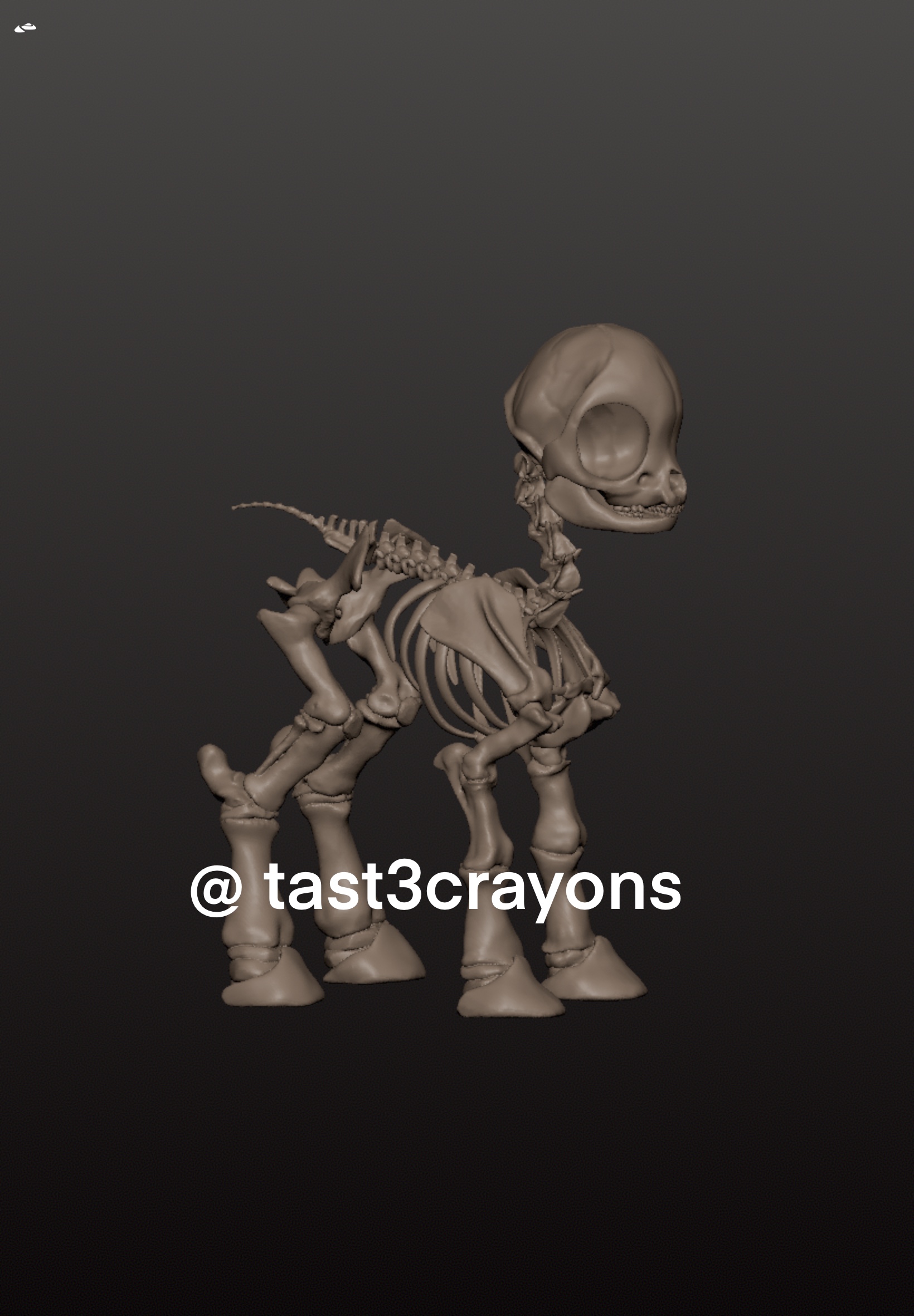 MLP anatomical pony skeleton