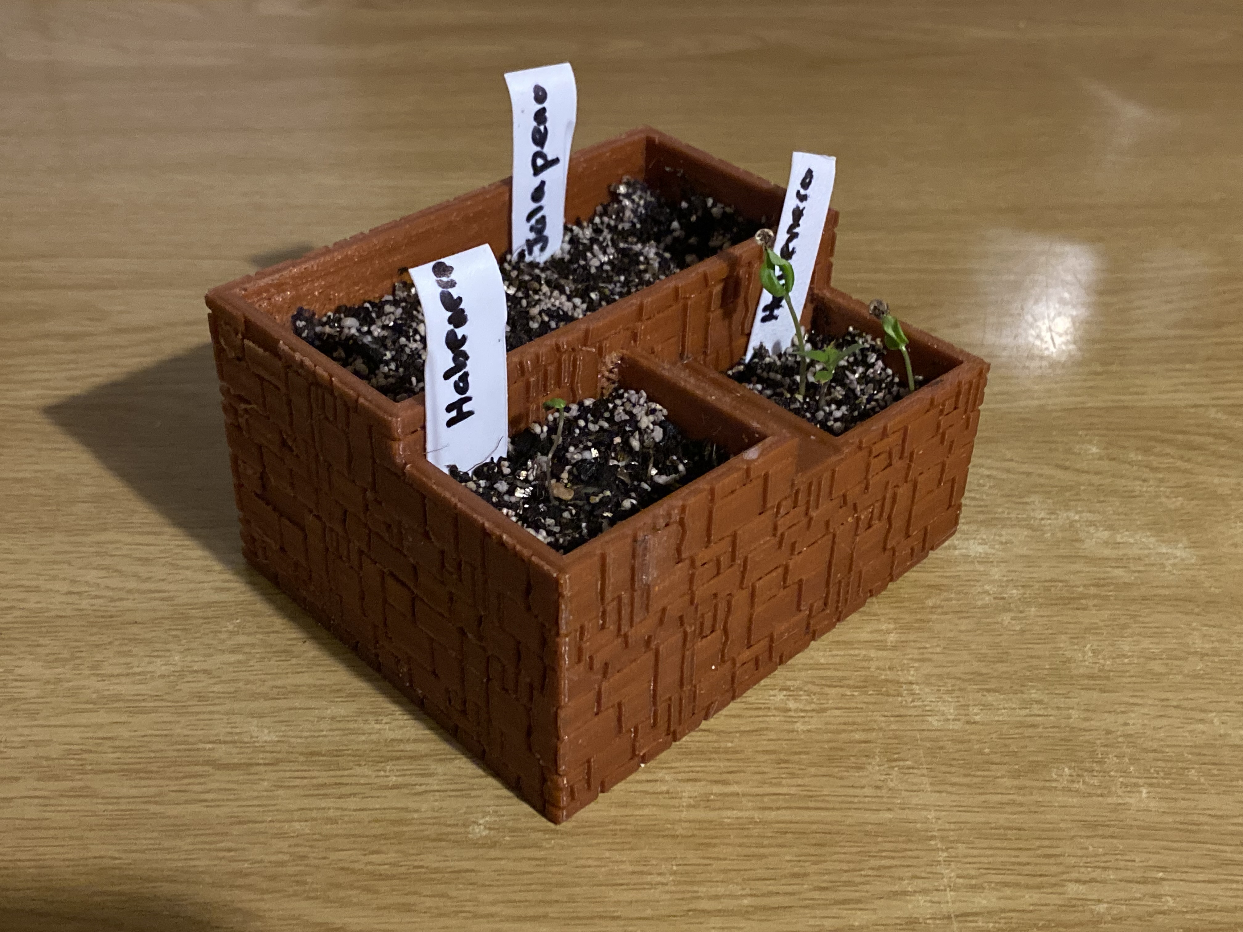 Rock Face Mini Plant Pots with Hidden Watering Slot