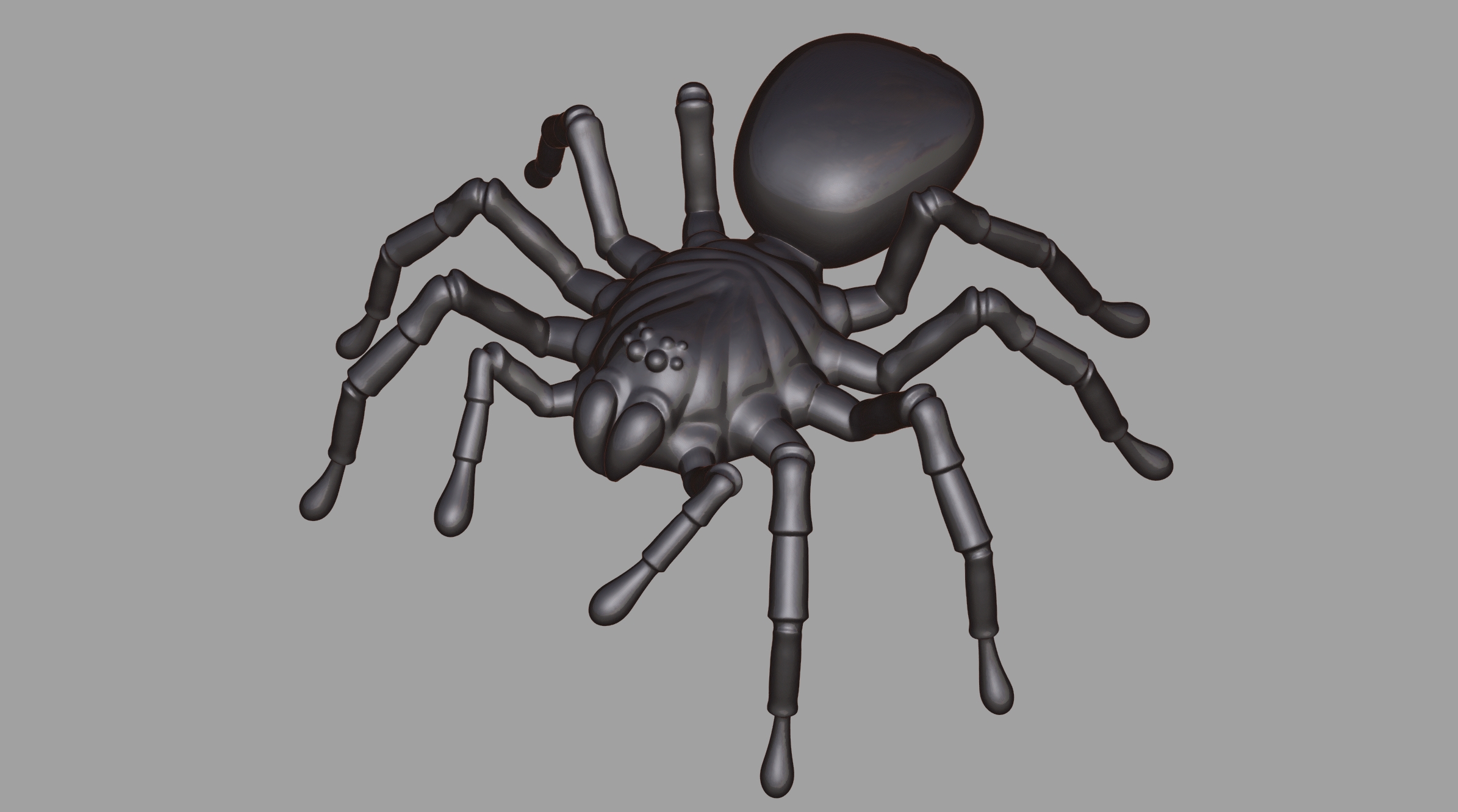 Tarantula Spider