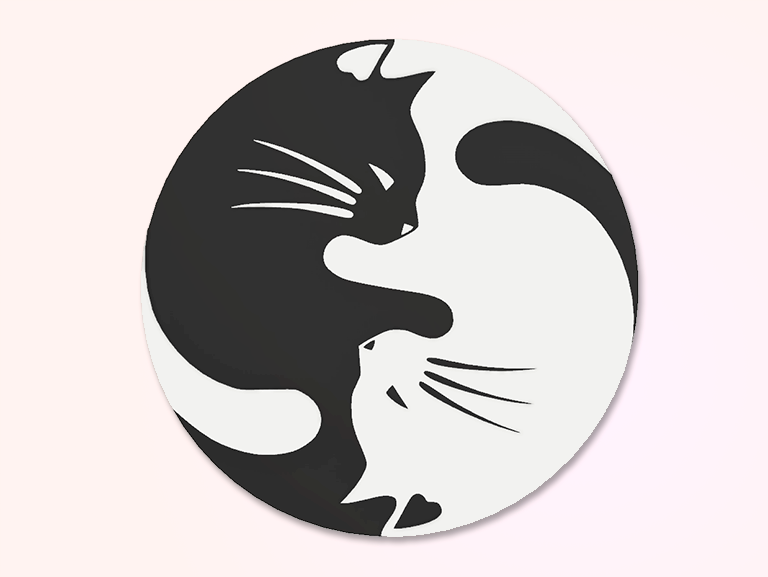 Black Cat, White Cat
