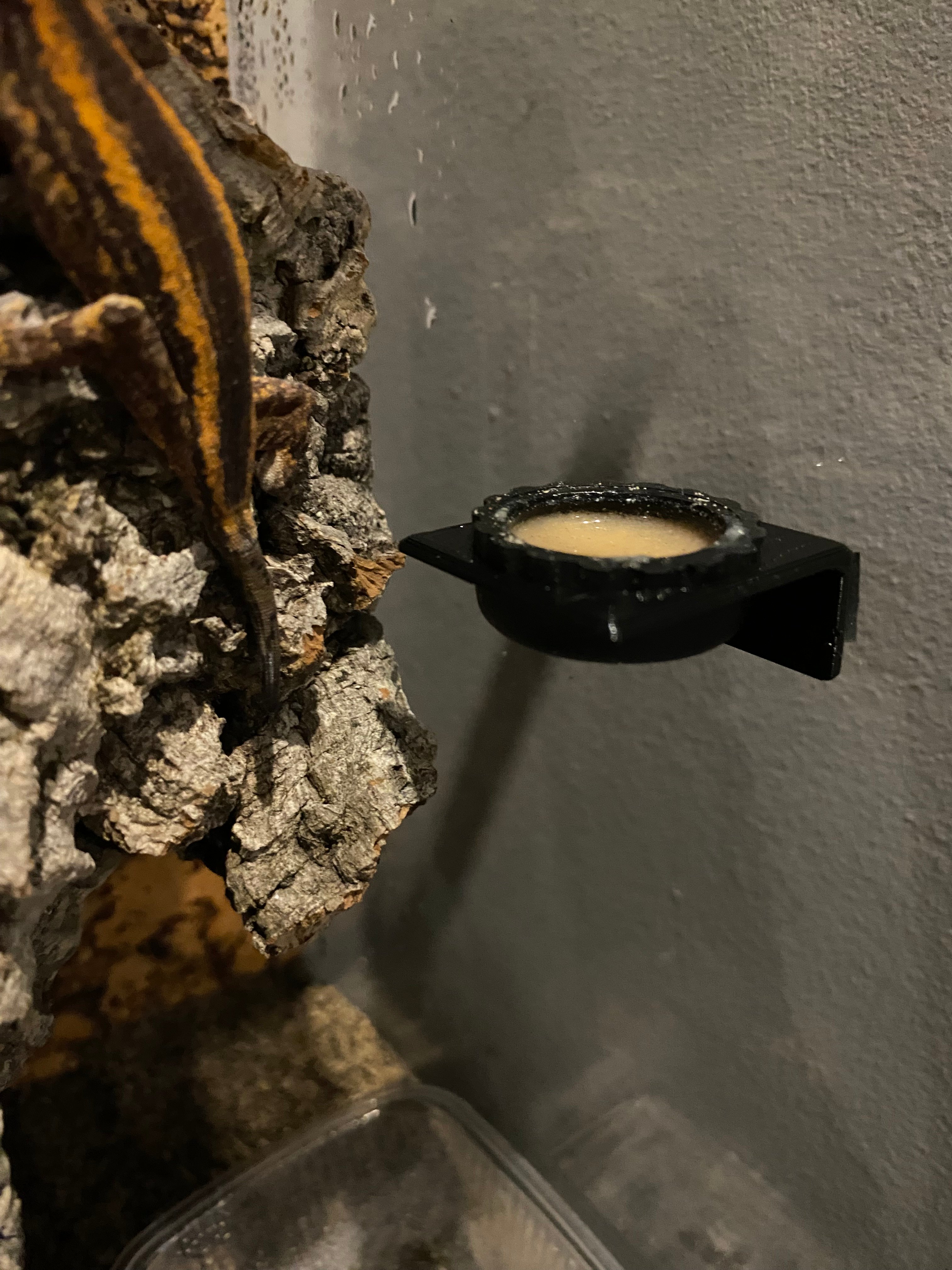 Terrarium Gecko feeder mini