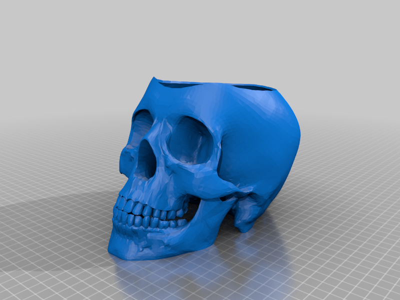 Skull pot with watering insert