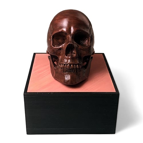 Anatomical Human Male Skull(updated 11/7/2020)