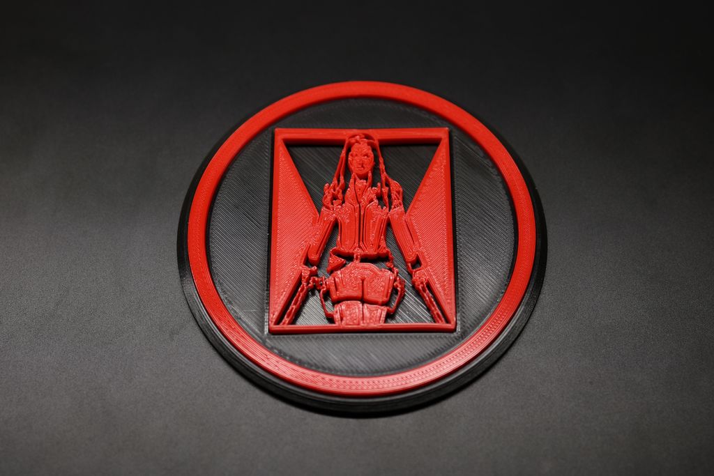Black Widow Coaster