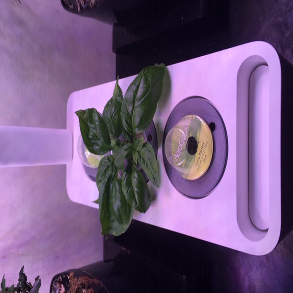 Click and Grow Hydroponics