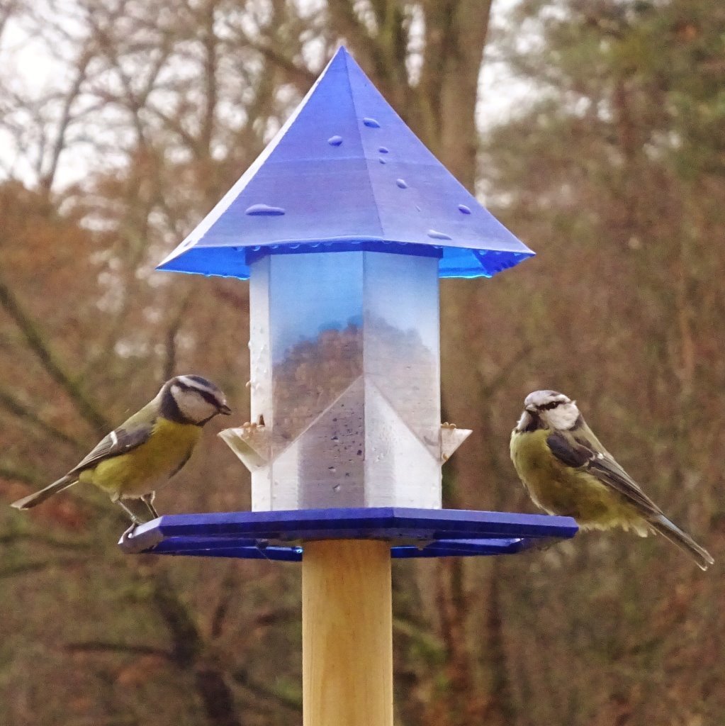 Bird feeder for pole mount