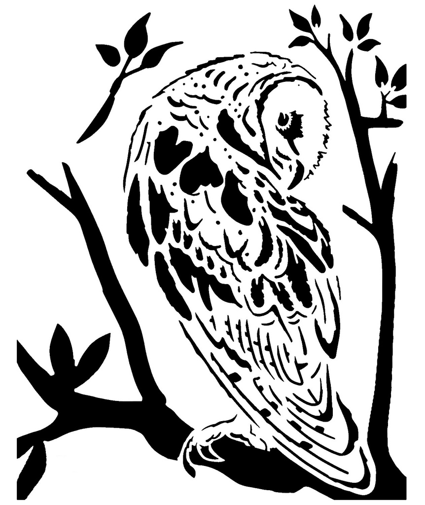 Barn Owl stencil