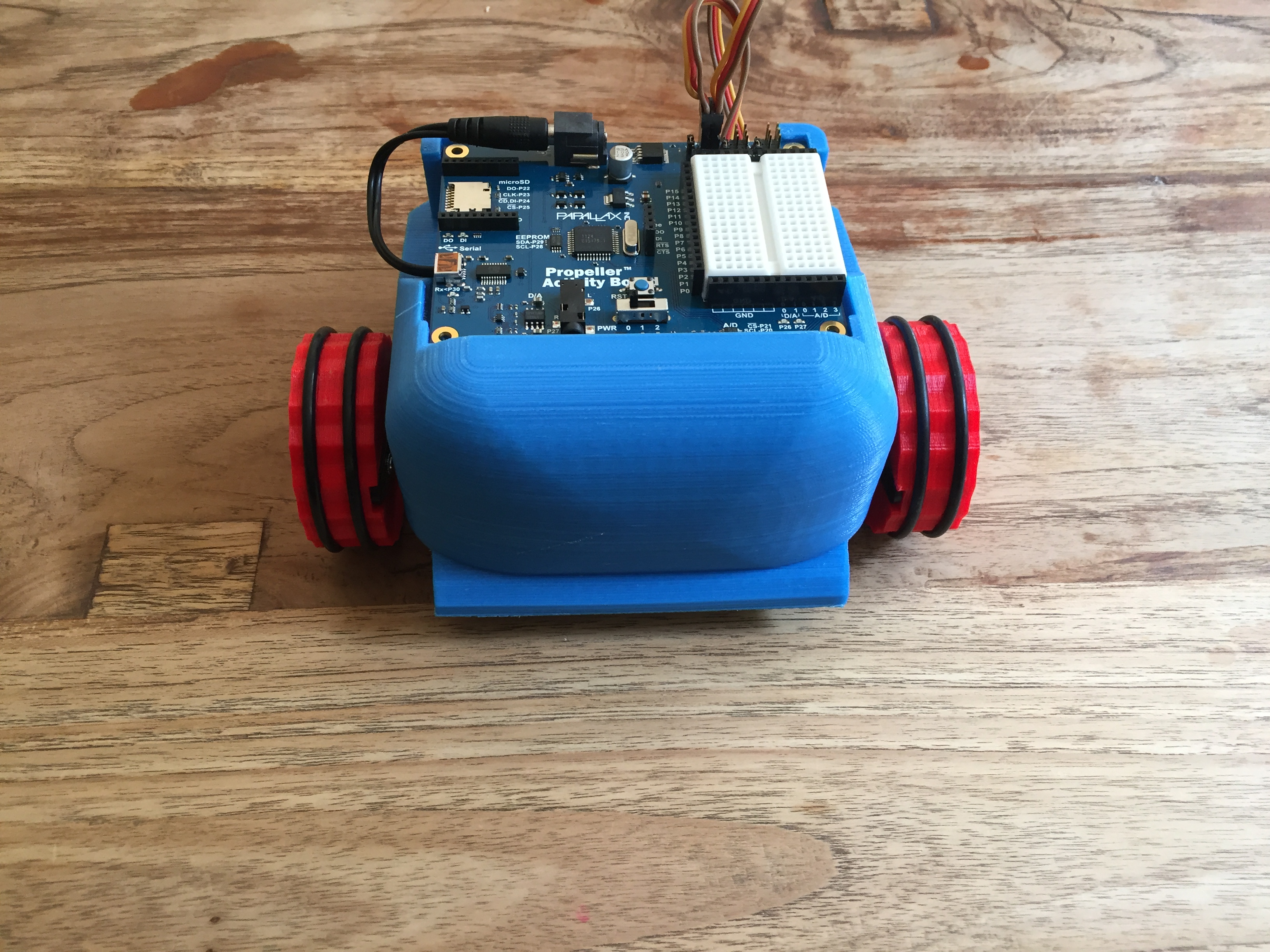 RayBot