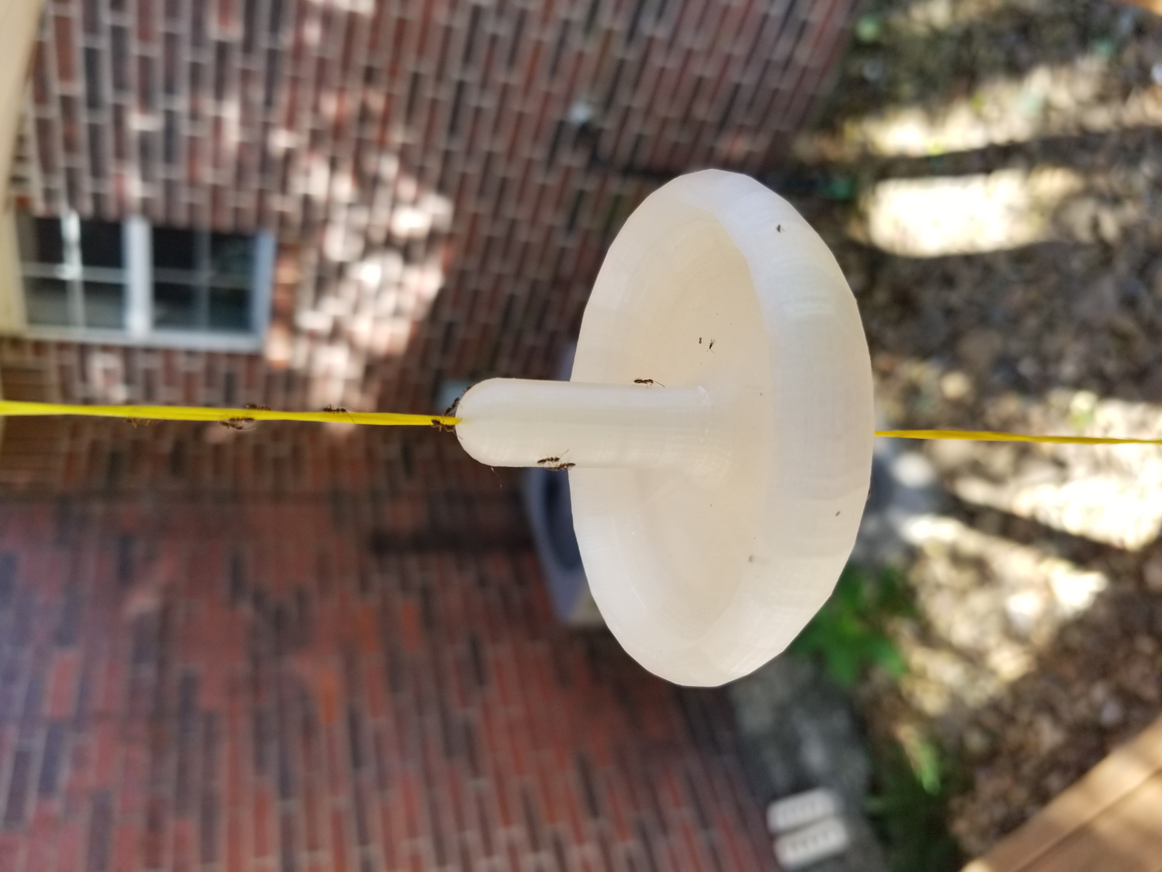 Humming Bird Feeder ANTi