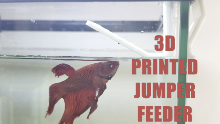 Jumper Feeder for Betta fish