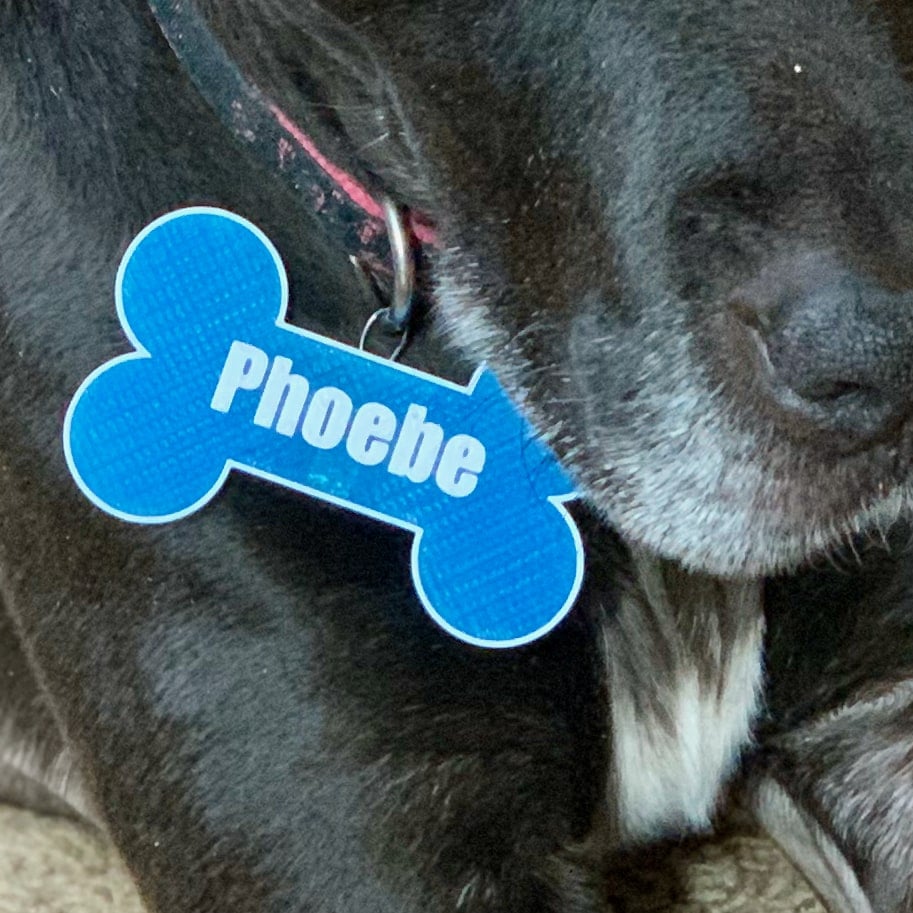 Bone Shaped Personalized Dog Tag