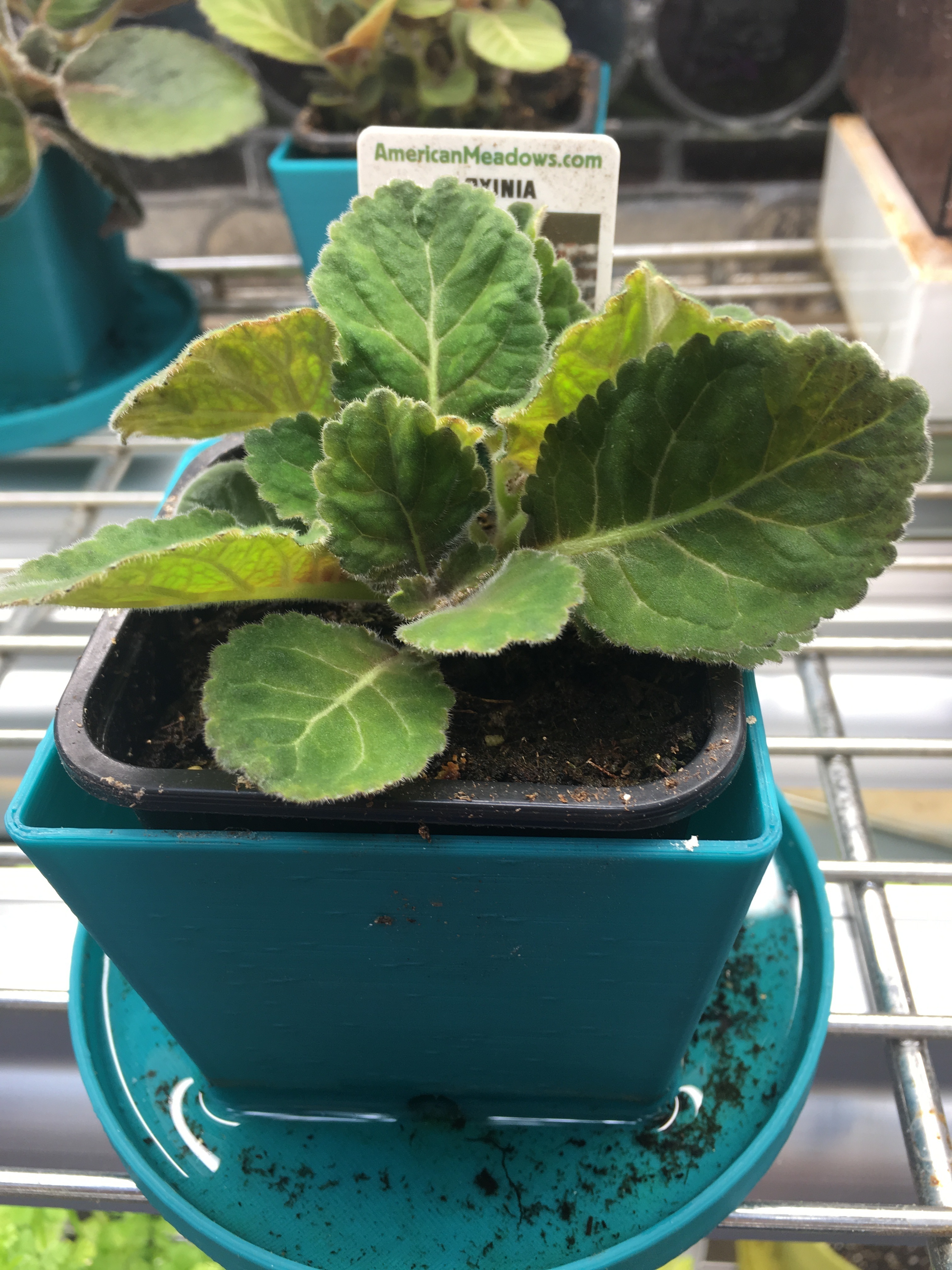 Improved 2" X 2" garden pot with larger reservoir