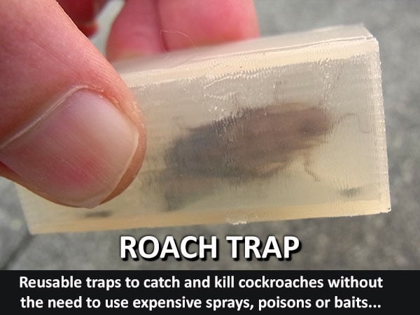 Roach Trap...Reusable trap to catch and kill cockroaches