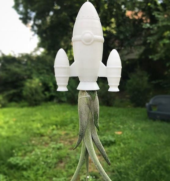 Rocket - Air Plant Holder