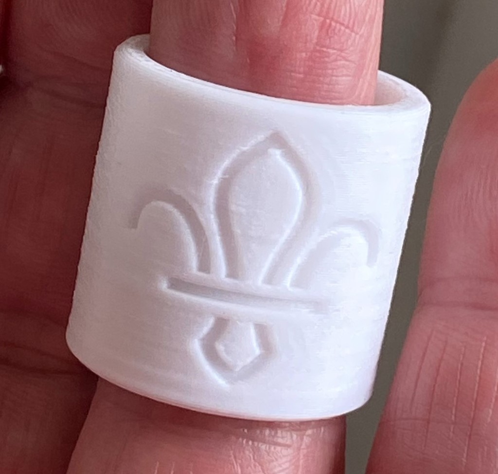 Scout Woggle with new logo