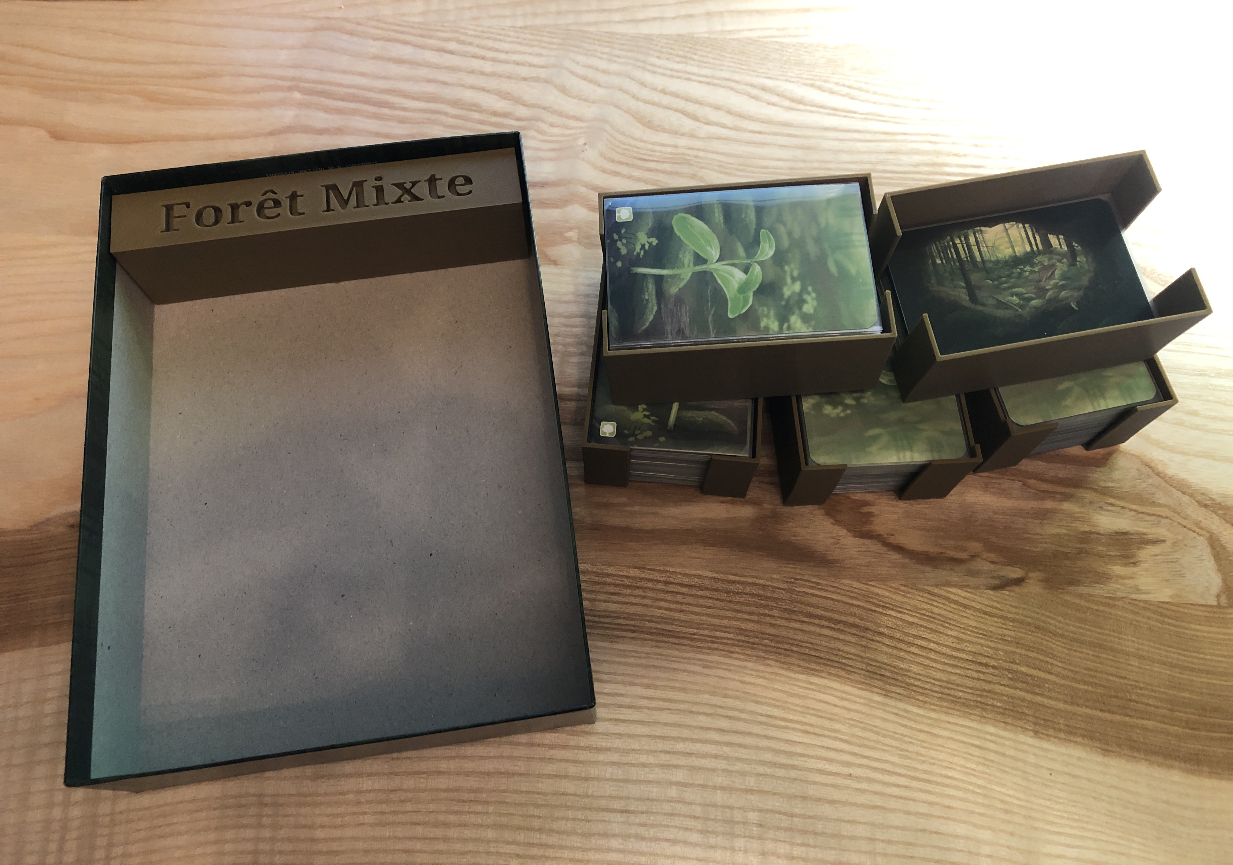 Forest Shuffle - Forêt Mixte - Mischwald 3D INSERT