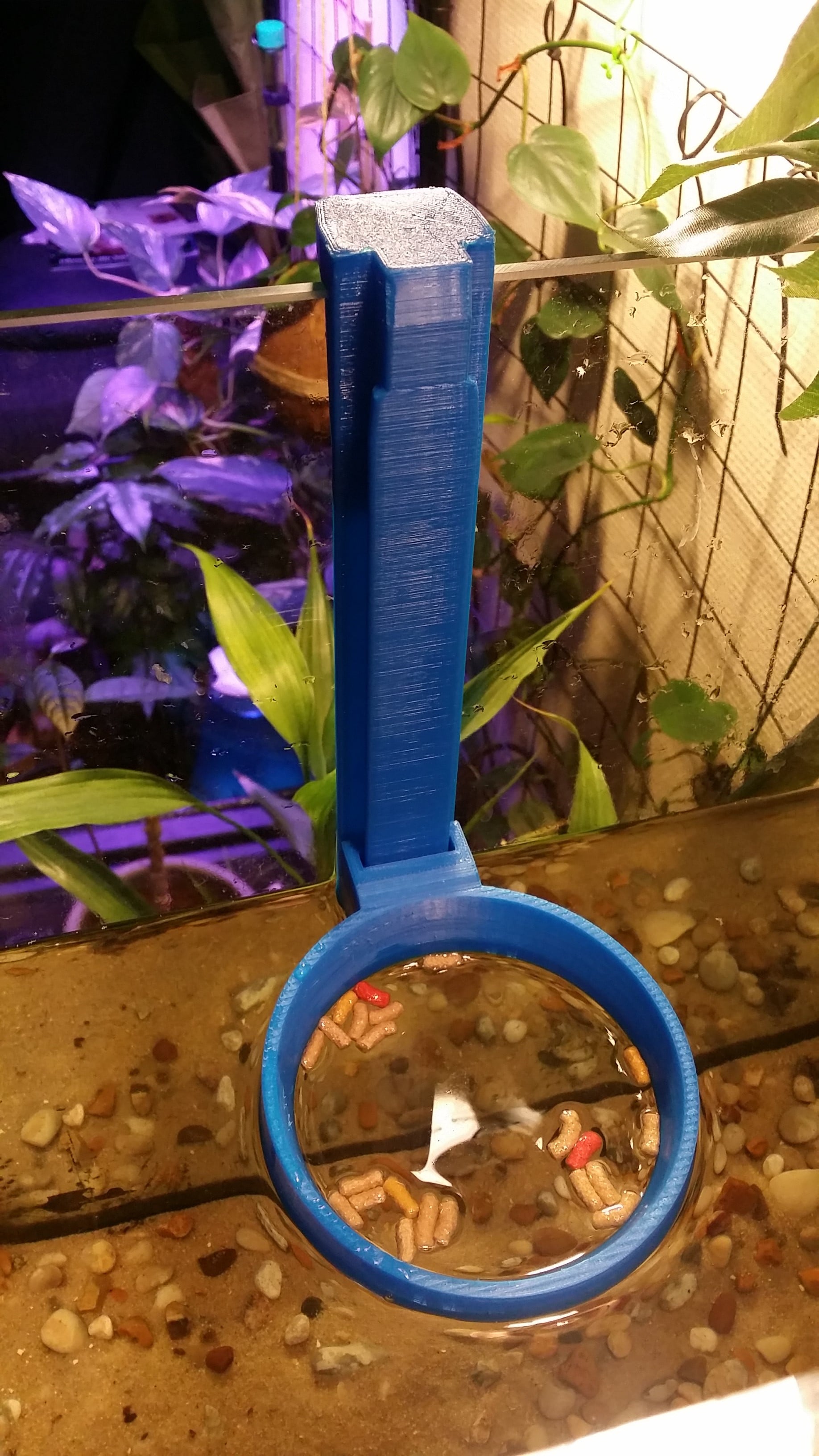 Aquarium feeding ring.